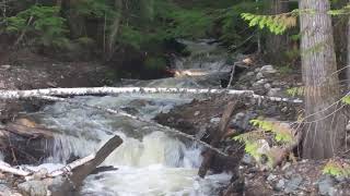 Bongard Creek, Mara, BC, Canada May13, 2020