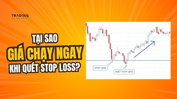 CÁ MẬP SĂN STOP LOSS: BÍ MẬT THOÁT BẪY VÀ KIẾM LỢI NHUẬN NGƯỢC | TRADING ON TREND