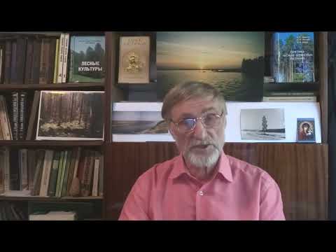 27  Лесные пожары - как избежать катастрофы