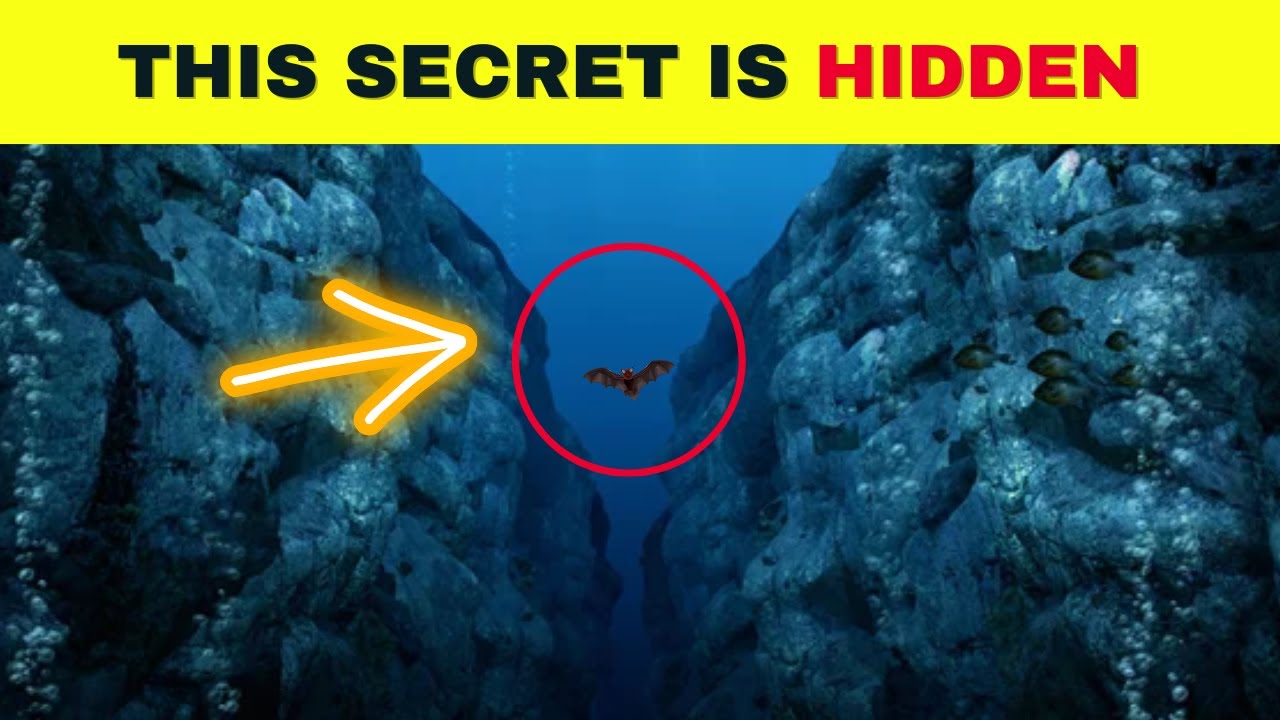 MindBlowing Secrets Revealed 10 Fascinating Facts That Will Change