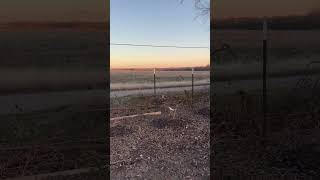 IMG 0174