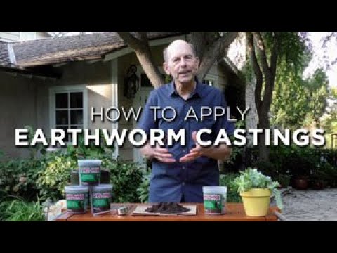 How To Use Earthworms Castings