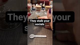 This person stalks your socials | Timeless Collective Tarot Reading