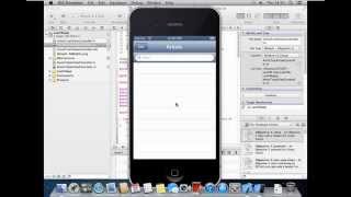 iOS basic app development using API's
