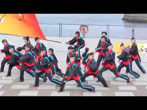 ど～んとCocode踊らん会　02　in　横浜よさこい祭り 良い世さ来い　2016