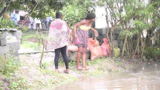 Saison des pluies à Tchimbamba (Pointe Noire - Congo)
Réalisé par Philippe Edouard, produit par Squat de Lux. Première pluie de la saison des pluies. Filmé au quartier Tchimbamba.Pointe Noire. République du Congo - Squat De Lux © Novembre 2014 -
POINTE NOIRE CHANNEL.
Contacts : squatdelux@hotmail.fr
t: 00 33 (0) 6 81 97 17 75 (France)
t: 00 242 06 638 06 42 (Rép.du Congo)
www.facebook.com/pointenoire.channel Saison des pluies à Tchimbamba (Pointe Noire - Congo)