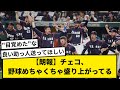 【朗報】チェコ、野球めちゃくちゃ盛り上がってるwwwwwmw【なんJ反応】【プロ野球反応集】【1分動画】【5chスレ】
