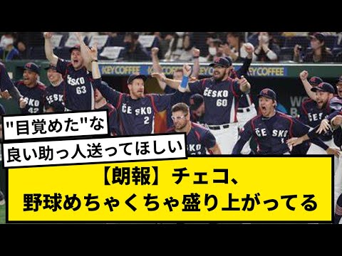 【朗報】チェコ、野球めちゃくちゃ盛り上がってるwwwwwmw【なんJ反応】【プロ野球反応集】【1分動画】【5chスレ】