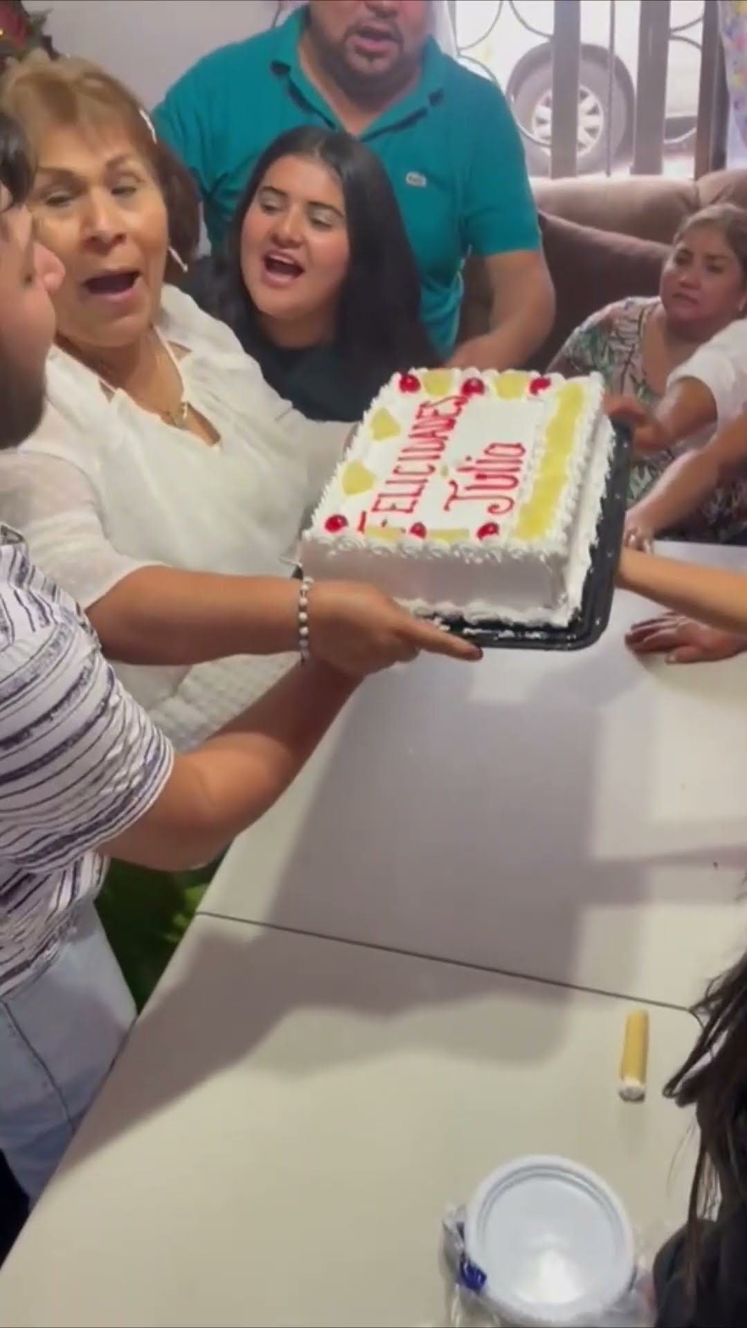 Family Celebrates Grandmother's Birthday and Shoves Cake in Her Face