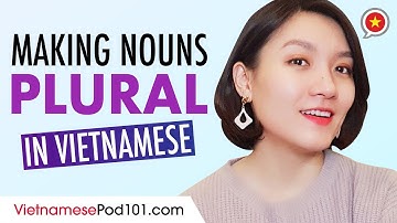 How to Make Nouns Plural in Vietnamese - Basic Vietnamese Grammar