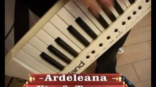 Utu si Tucu - Ardeleana