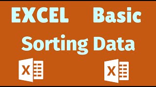 MS Excel Basic for Beginners | Sorting data | Lesson 6