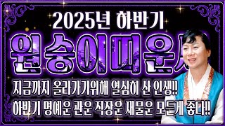 2025년 을사년 하반기 돈복터지는 원숭이띠운세올해 하반기 금전문이 활짝 열리고 미친듯이 돈이 쏟아져 내립니…