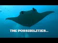 The possibilities  manta point  maldives 2020  operation blue freedom by claw global