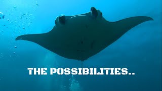 The Possibilities.. Manta Point - Maldives 2020 Operation Blue Freedom By Claw Global