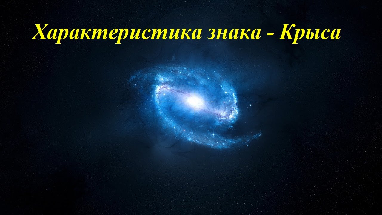 Характеристика знака - Крыса