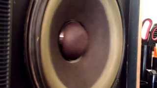 Bose 301 Series II Direct/Reflecting Speakers