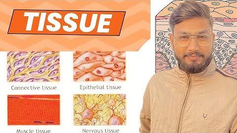 Tissues Class 9 | Full Chapter Explained with Examples & Diagrams | Biology Made Easy