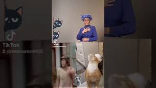 Chaves Parece A Dona