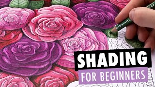 How to Draw Shadows with Colored Pencils: Easy Shading Techniques for Adult Coloring Books screenshot 4