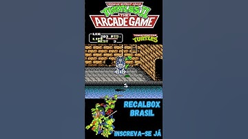 Teenage Mutant Ninja Turtles II: The Arcade Game - Boss 3 ( NES / 1990 )