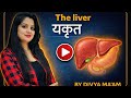 HUMAN LIVER IN ONE VIDEO #HumanLiver #LiverFunction #BiologyLecture #CompetitiveExams