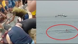 هجوم القرش على السائح الروسى فى مصر ( السبب الحقيقى  )Shark attack on a Russian tourist in Egypt