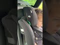 How To Properly Fasten Your Little One In The Joie Elevate Car Seat How To Properly Fasten Your Little One In The Joie Elevate Car Seat