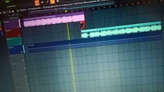 Aalaporan Thamilan X Ellapugalum