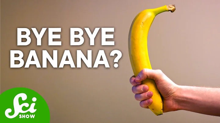 Bananas Are Not What You Think | The Shocking Truth - DayDayNews