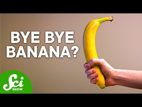 Βίντεο: Γιατί το plantain είναι καλό για εσάς;