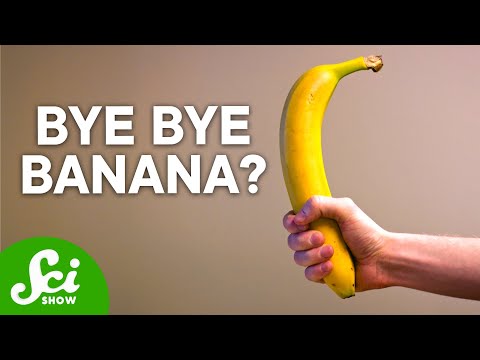 The Terrifying Truth About Bananas