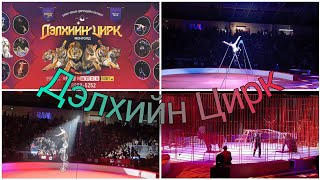 Дэлхийн Цирк Монголд 2024.