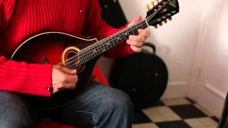 Swallowtail Jig - Irish jig mandolin
