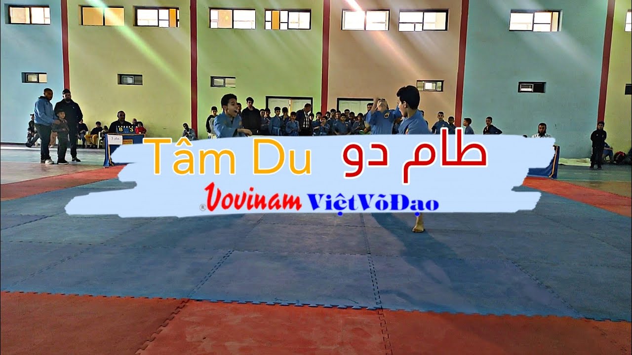 طام دو Tâm Du البطولة الولائية للفوفينام فيات فوداو