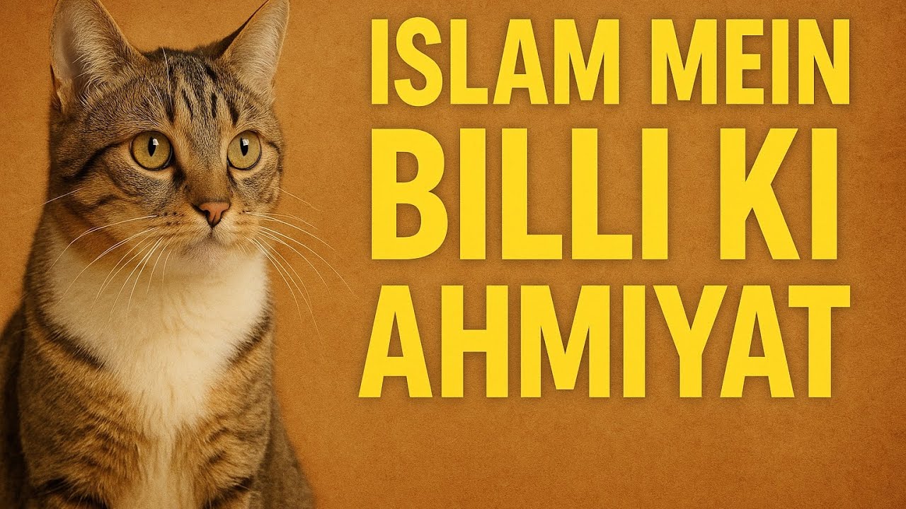 Cats in Islam | Prophet Muhammad ﷺ Aur Billiyon Se Muhabbat