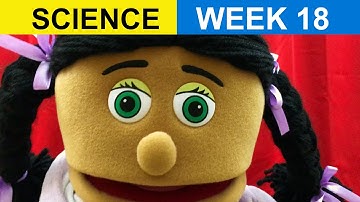 CC Cycle 3 Week 18 Science - Foundations Memory Work