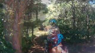 Riding Chimpex!