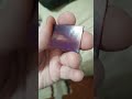 Oparex Test