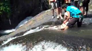 Tyler - Feet First Down The Natural Waterslide