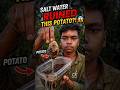 Salt Water RUINED This Potato?! 😱#Shorts #Viral #Experiment #ScienceShorts #SaltWater