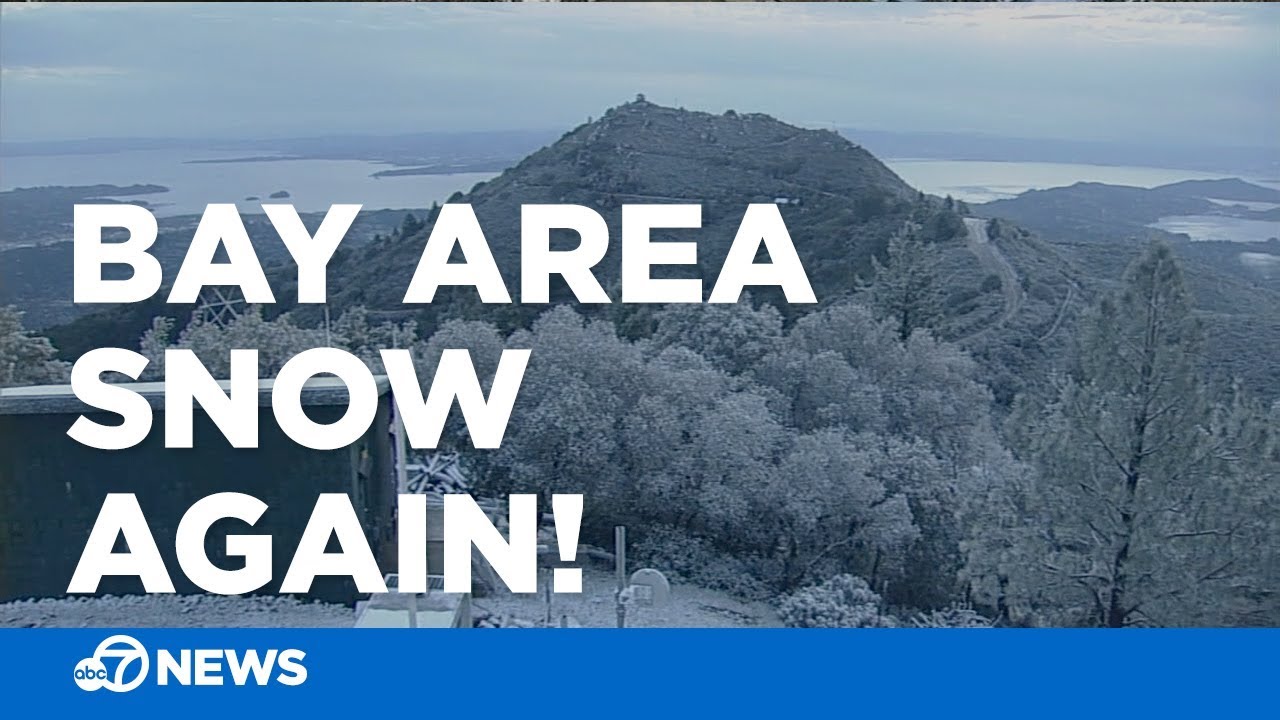 Bay Area Snow Day