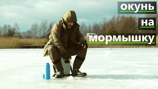 ЛОВЛЯ ОКУНЯ НА МОРМЫШКУ ЗИМНЯЯ РЫБАЛКА