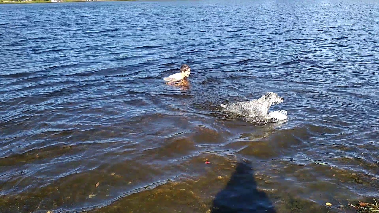 Old Town Maine boat landing YouTube