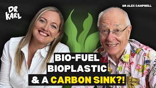 Seaweed! The Humble Organism Fighting Climate Change