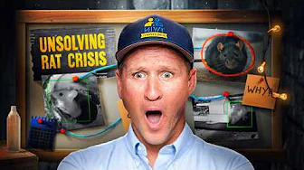 The Senior Citizen Rat Problem No One Could Solve... Until the Twins Showed Up!