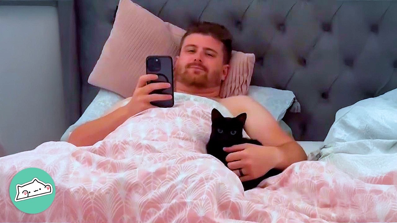 Clingy Kitten “Steals” Woman’s Husband | Cuddle Buddies