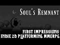Soul's Remnant Online - Alpha First Impressions