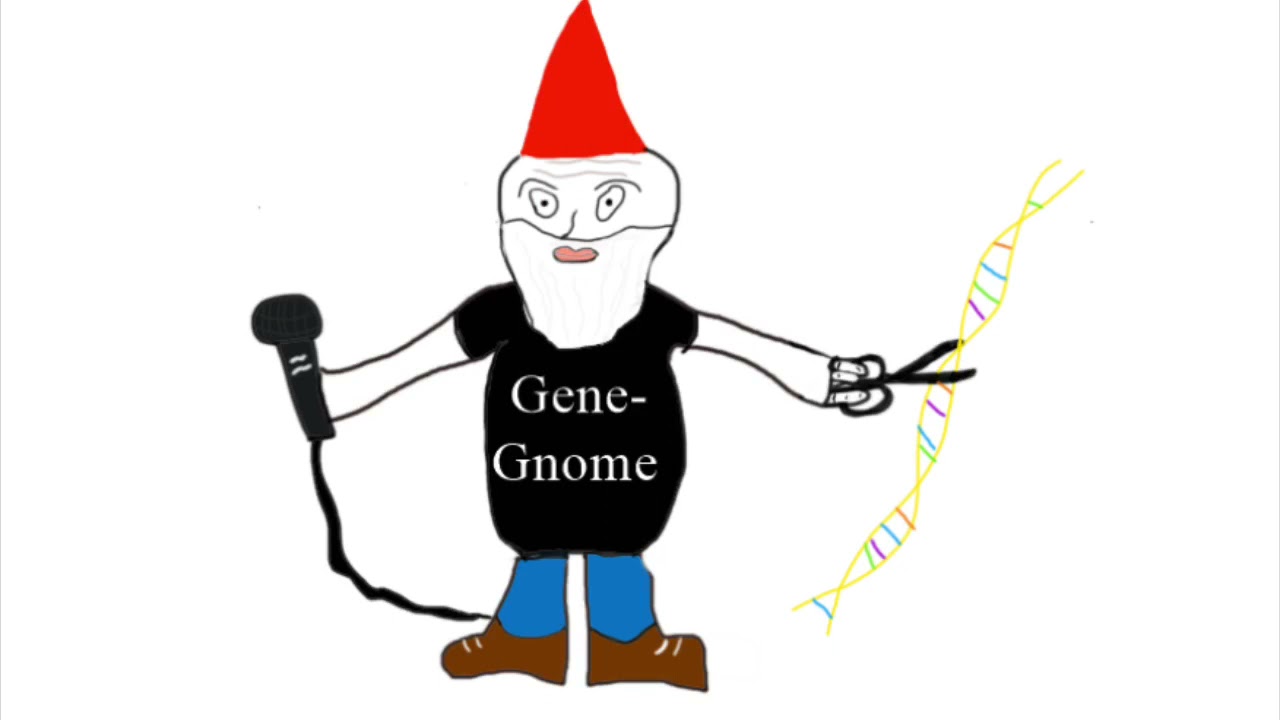 Gene-Gnome Episode 1