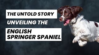 The Untold Story: Unveiling the English Springer Spaniel